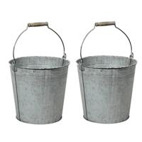 Emmer/plantenpot/bloempot - 2x - zink - grijs - D27 x H25 cm