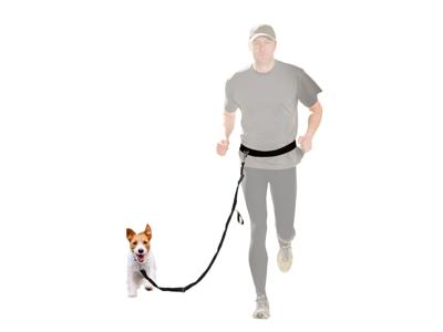zoofari Hondenlijn (Hardlooplijn met buikriem)