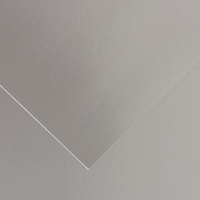 Fiches Iris Grijs Zilverkleurig 50 x 65 cm