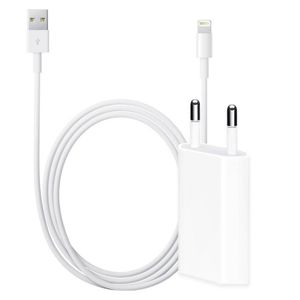 Bulkverpakking iPhone kabel 1m + adapter