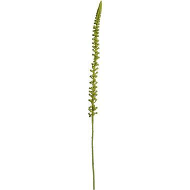 Kunstbloem Donkey Tail Spray - groen - 86 cm - Leen Bakker