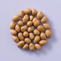Chocolade pinda&apos;s karamel zeezout 5 kg doos