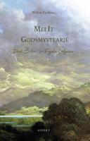 Mei it godsmystearje (Paperback)