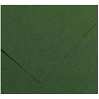 Fiches Iris Amazon Groen 50 x 65 cm