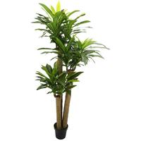 Corn stalk dracaena 190 cm - Buitengewoon de boet