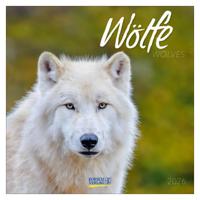 Wolven Kalender 2026