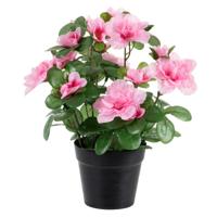 Louis Maes Azalea Kunstplant - roze - in binnenpot - H25 cm - kunstbloemen