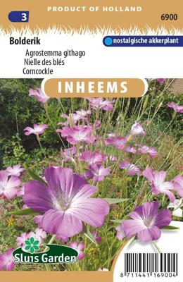 Inheemse Agrostemma githago Bolderik zaden