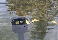 Aquaskim gravity - Oase