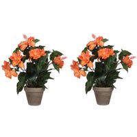 2x stuks hibiscus kunstplanten oranje in grijze pot H40 x D30 cm - thumbnail