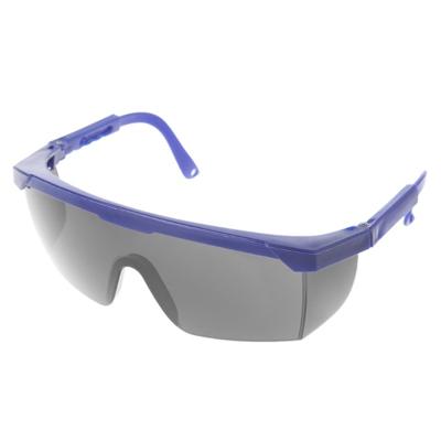 10 PC's buiten veiligheidsbril bril oog bescherming bril tandheelkundige werk Eyewear (blauw Frame grijs Lens)