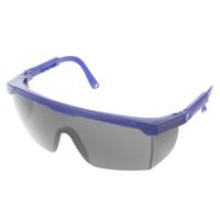 10 PC's buiten veiligheidsbril bril oog bescherming bril tandheelkundige werk Eyewear (blauw Frame grijs Lens)