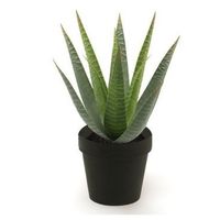 Kunstplant Aloe Vera - groen - in zwarte pot - 23 cm - thumbnail