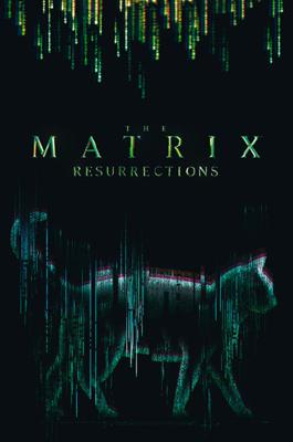 Poster The Matrix Cat 61x91,5cm