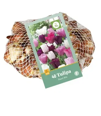 Bloembollen Tulipa Pastel Mix 40st