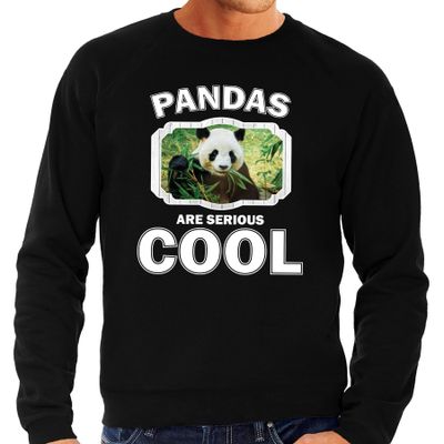 Dieren panda sweater zwart heren - pandas are cool trui Dieren panda sweater zwart heren - pandas are cool trui