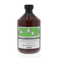 Davines Natural Tech Renewing Pro Boost Superactive Shampoo 500ml