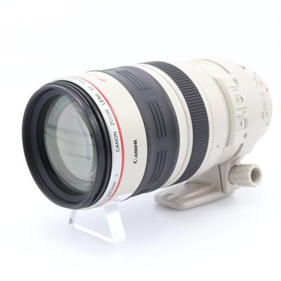 Canon EF 100-400mm F/4.5-5.6 L IS USM (schuifzoom) occasion