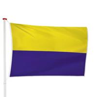 Vlag Zandvoort