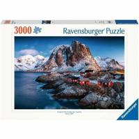 Puzzel Ravensburger 17081 3000 Onderdelen
