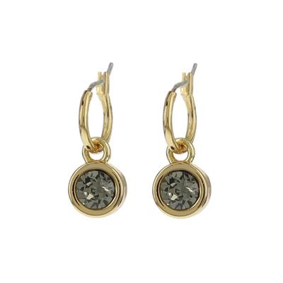 Biba Hang Oorbellen met Swarovski Steentje Bl. Diamond Goud