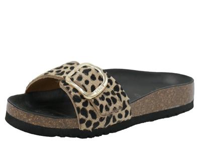 Scholl Kathleen Scholl Kathleen