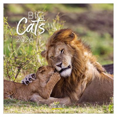 Big Cats Kalender 2026