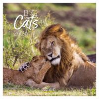 Big Cats Kalender 2026 Big Cats Kalender 2026