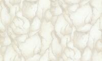 Dutch Wallcoverings Yudashkin 5 10X1,06M - Beige/Zilver