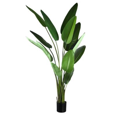 Kunstplant Groen Strelitzia XL