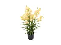 Cymbidium kunstplant 90 cm, groen - Buitengewoon de boet
