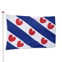 Friese vlag