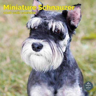 Miniatuur Schnauzer Kalender 2026