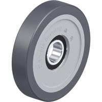 Blickle FPTH 125x25/25-15K Geleidingsrol Wieldiameter: 125 mm Draagvermogen (max.): 290 kg 1 stuk(s)