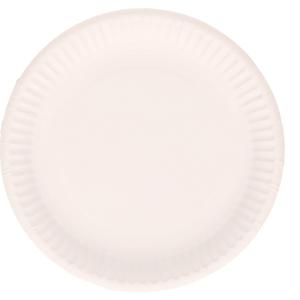 Feestbordjes/gebaksbordjes karton - 100x - wit - rond - papieren bordjes
