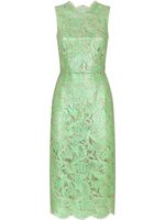 Dolce & Gabbana robe mi-longue en dentelle - Vert - thumbnail