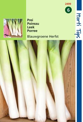 Prei Blauwgroene Herfst Ideal - Hortitops