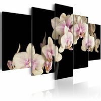 Schilderij - Orchideeën op een contrasterende achtergrond , 5 luik
