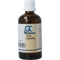 GO GO olea europea GO GO olea europea