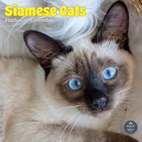 Siamees Kalender 2026