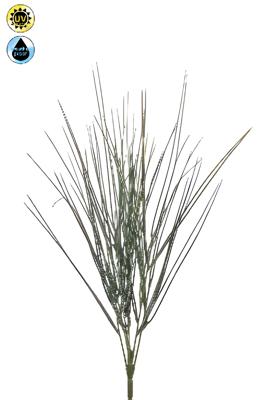 Cytisus bush x6 UV 52 cm Emerald - Emerald