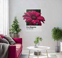 "Levend Magenta" kleur Muursticker - thumbnail