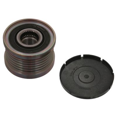 Dynamovrijloop 49516