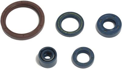 ATHENA motor-keerring set motorshield te/tc250-450,03-10,