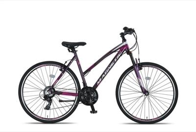 Altec Magnetic 28 Inch 52 cm Dames 21V V Brakes Antraciet
