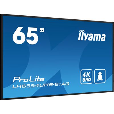 Prolite LH6554UHS-B1AG Public Display