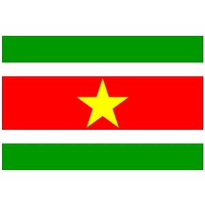 Vlag van Suriname mini formaat 60 x 90 cm   -