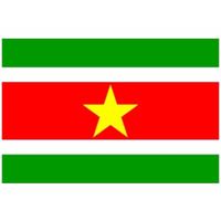 Vlag van Suriname mini formaat 60 x 90 cm   -