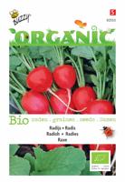 Organic Radijs Raxe (Skal 14275) - Buzzy