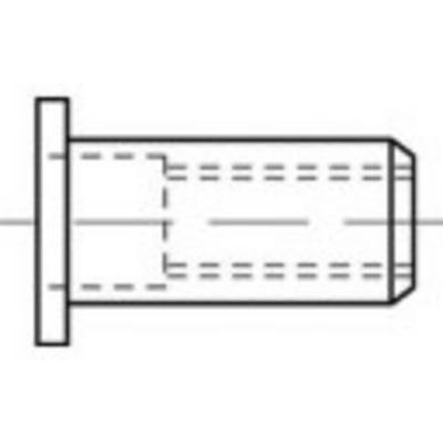 TOOLCRAFT TO-5380455 Popmoer M8 RVS 100 stuk(s)